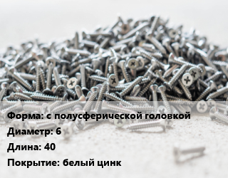 Шуруп с полусферической головкой 6х40 белый цинк, шт цена от 6.75 сом / кг, где купить, условия доставки в Оше и Ошской области